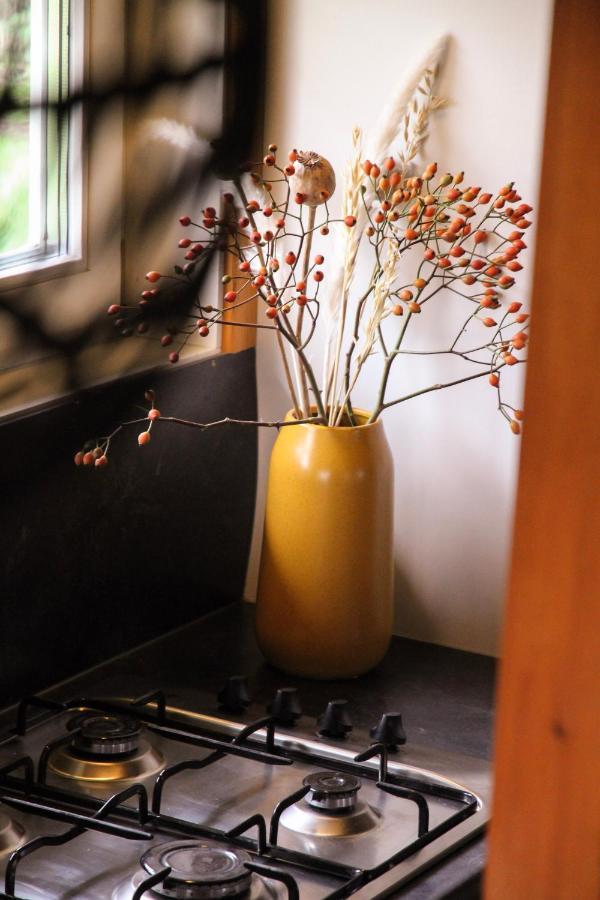 Wijngaard Saalhof Bed & Breakfast Wognum Eksteriør bilde